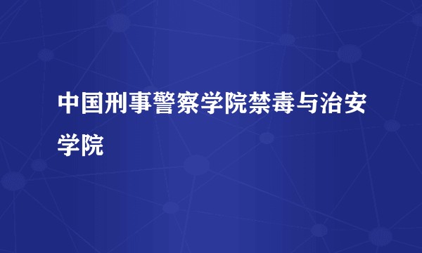 中国刑事警察学院禁毒与治安学院