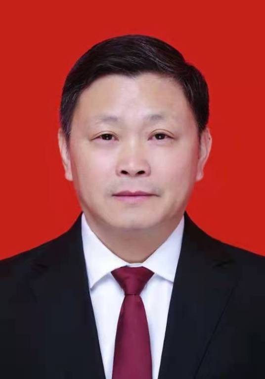 陶琳（浙江省杭州市上城区四季青街道人大工委副主任）