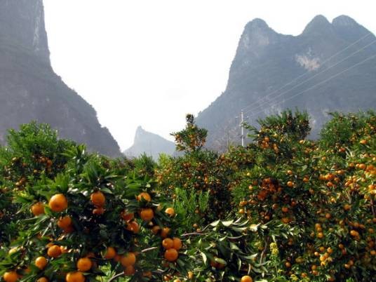 桂林群英村