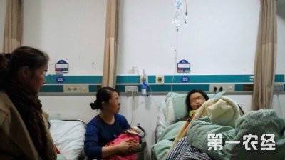 烧饼中毒事件