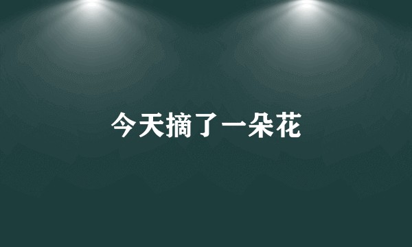 今天摘了一朵花