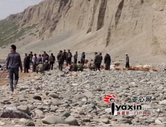 领头羊意外坠崖羊群尾随跳下摔死事故