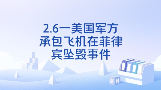 2.6一美国军方承包飞机在菲律宾坠毁事件