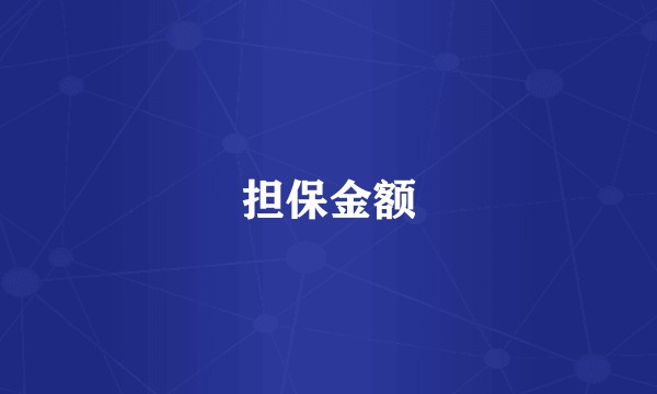担保金额