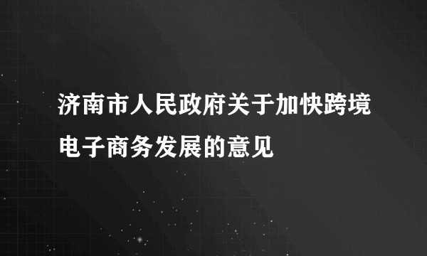 济南市人民政府关于加快跨境电子商务发展的意见