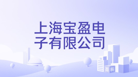 上海宝盈电子有限公司