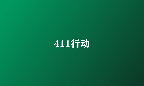 411行动