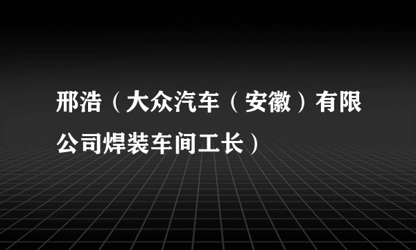 邢浩（大众汽车（安徽）有限公司焊装车间工长）