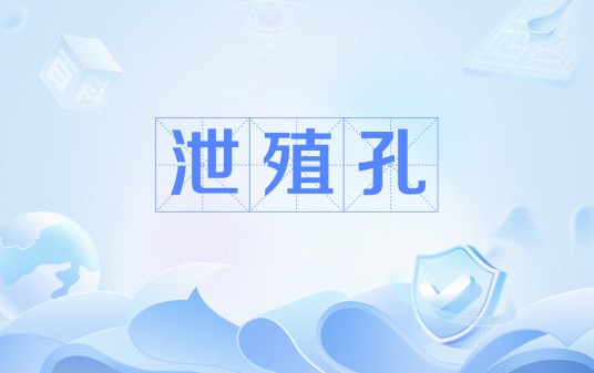 泄殖孔