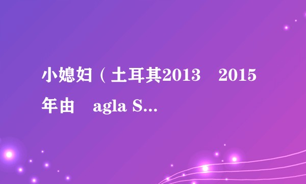 小媳妇（土耳其2013–2015年由Çagla Simsek等人主演的剧集）