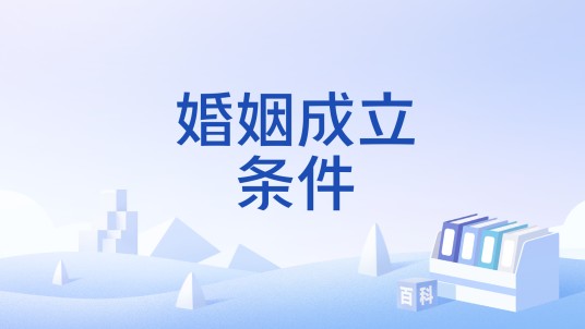 婚姻成立条件