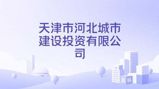 天津市河北城市建设投资有限公司