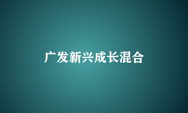 广发新兴成长混合