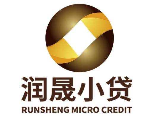 济南市历城区润晟小额贷款有限公司