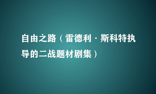 自由之路（雷德利·斯科特执导的二战题材剧集）