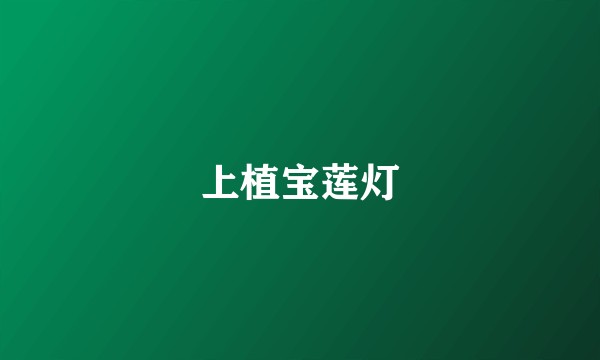 上植宝莲灯