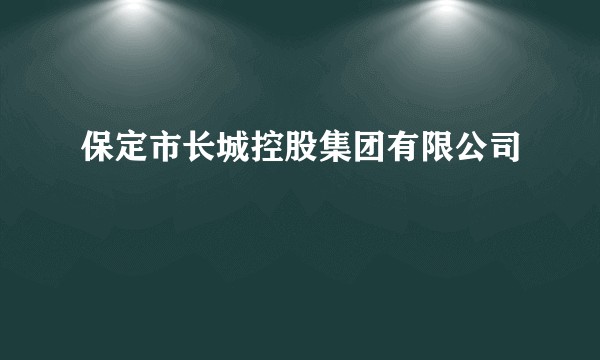 保定市长城控股集团有限公司