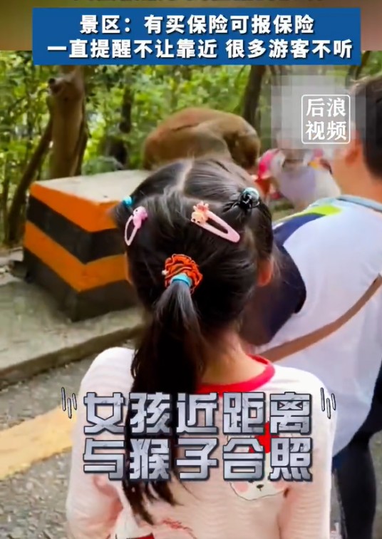 2·16深圳景区女孩被猴子拽咬事件