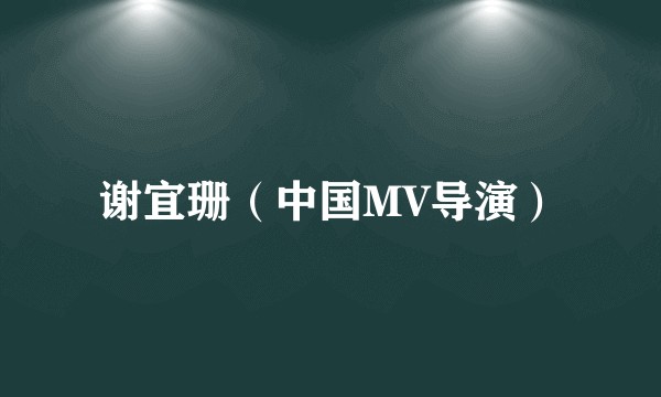 谢宜珊（中国MV导演）