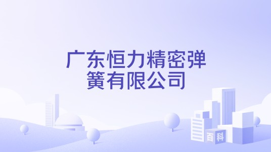 广东恒力精密弹簧有限公司