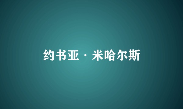 约书亚·米哈尔斯