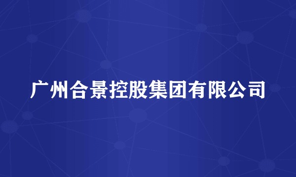 广州合景控股集团有限公司