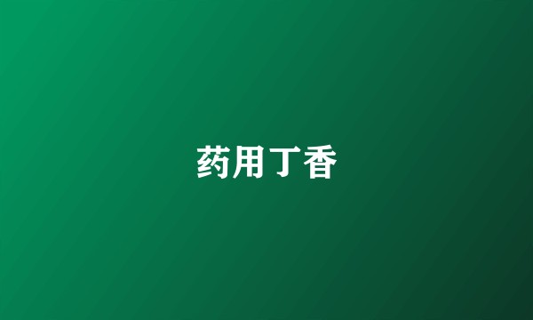 药用丁香