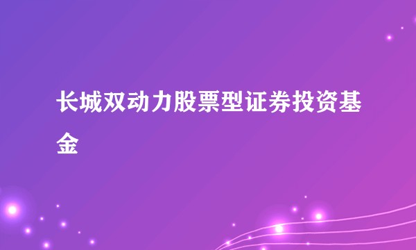 长城双动力股票型证券投资基金