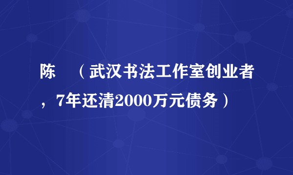 陈曌（武汉书法工作室创业者，7年还清2000万元债务）
