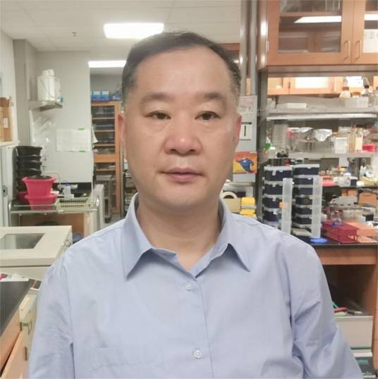 李林（华中农业大学生命科学技术学院教授）