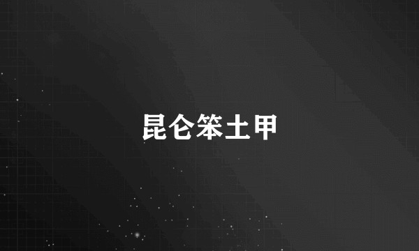 昆仑笨土甲