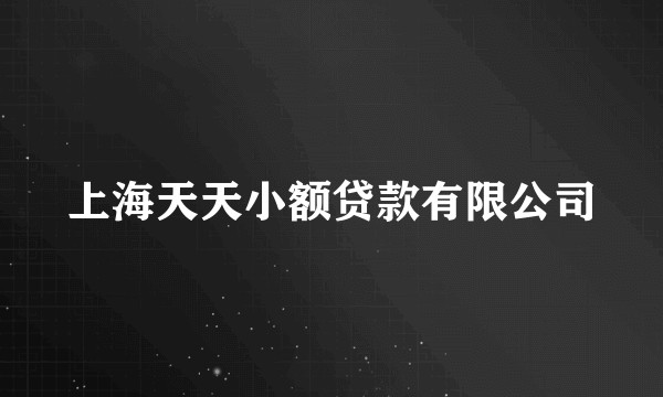 上海天天小额贷款有限公司