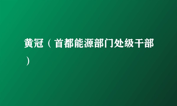 黄冠（首都能源部门处级干部）