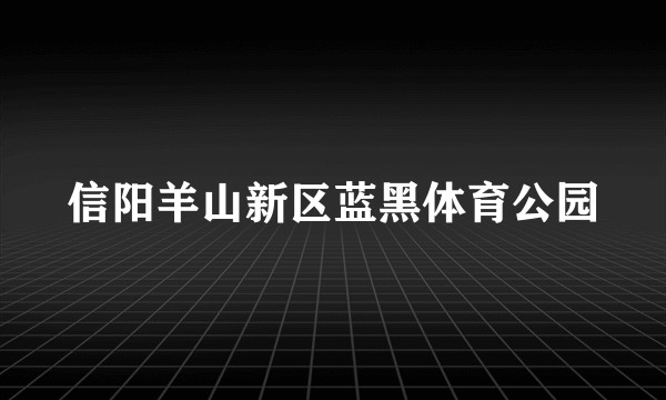 信阳羊山新区蓝黑体育公园