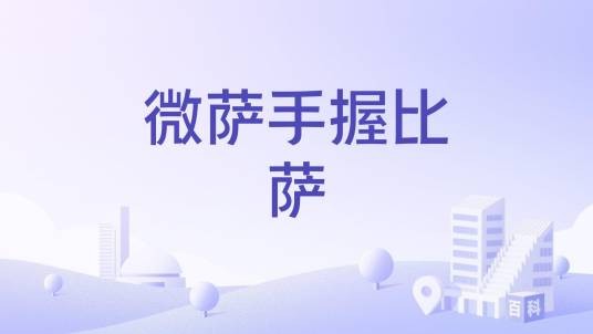 微萨手握比萨
