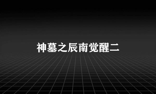 神墓之辰南觉醒二