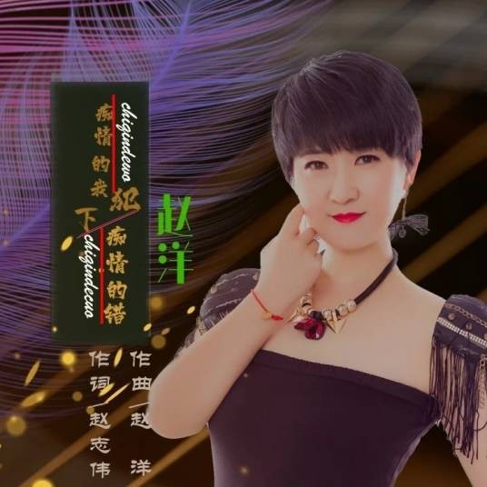 痴情的我犯下痴情的错（赵洋演唱歌曲）