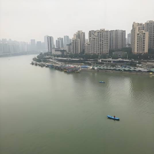 牛导