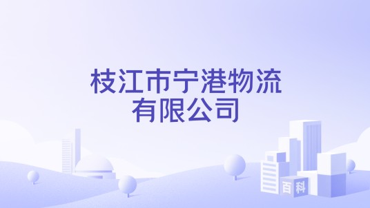 枝江市宁港物流有限公司