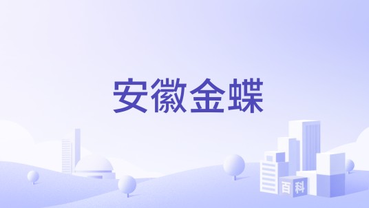 安徽金蝶