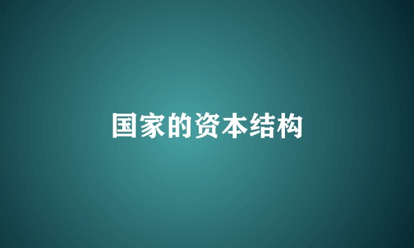 国家的资本结构