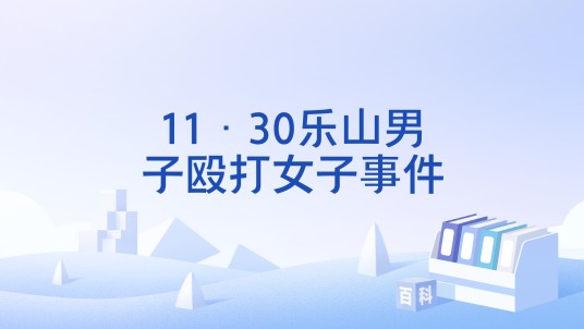 11·30乐山男子殴打女子事件