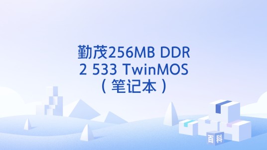 勤茂256MB DDR2 533 TwinMOS（笔记本）