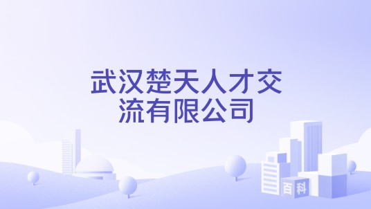 武汉楚天人才交流有限公司