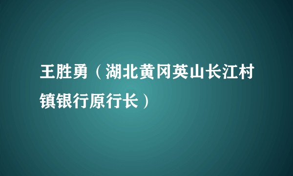 王胜勇（湖北黄冈英山长江村镇银行原行长）