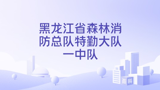 黑龙江省森林消防总队特勤大队一中队