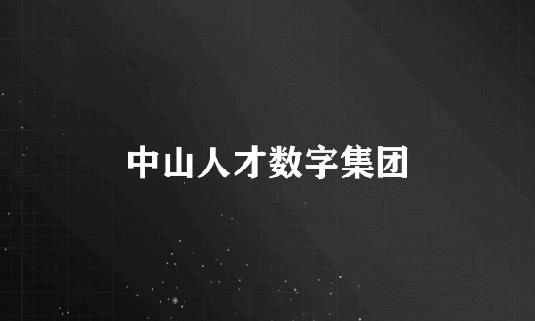 中山人才数字集团