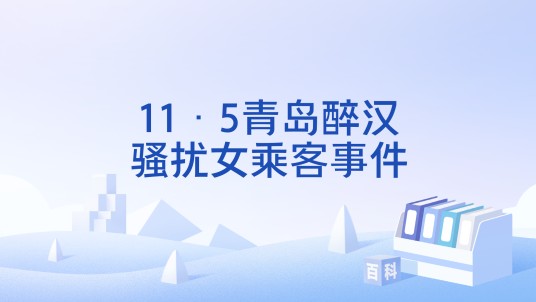 11·5青岛醉汉骚扰女乘客事件