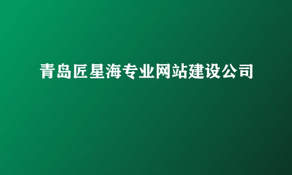 青岛匠星海专业网站建设公司