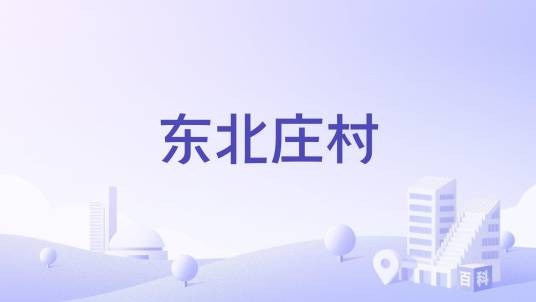 东北庄村（河南省濮阳市华龙区岳村乡下辖村）